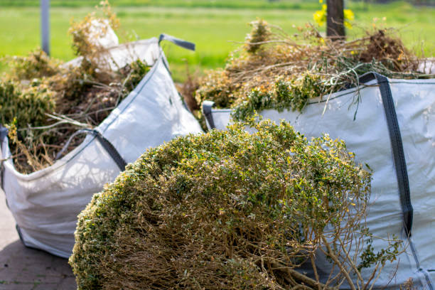 Debris Removal in Benton Park, CA